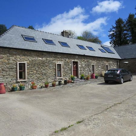 The Old House Vila Carrick-on-Suir Exterior foto