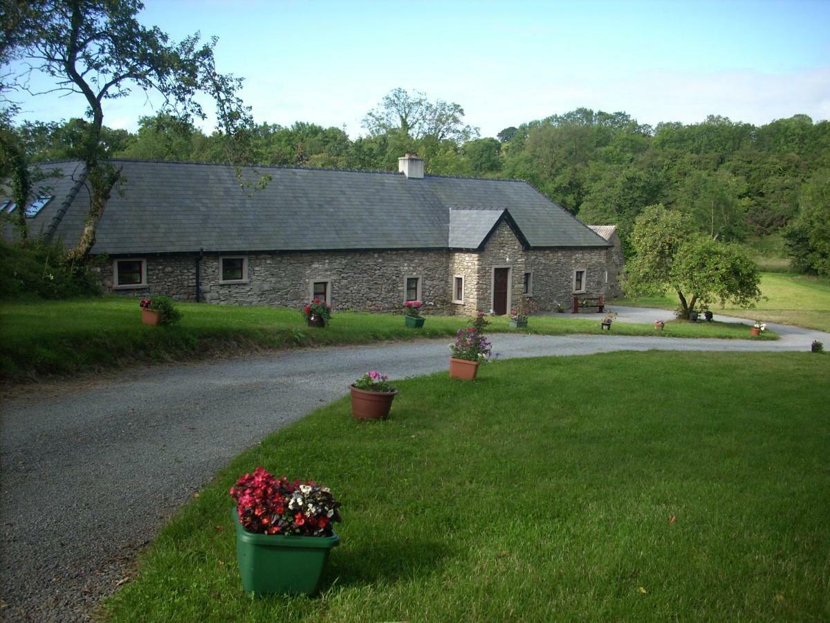 The Old House Vila Carrick-on-Suir Exterior foto