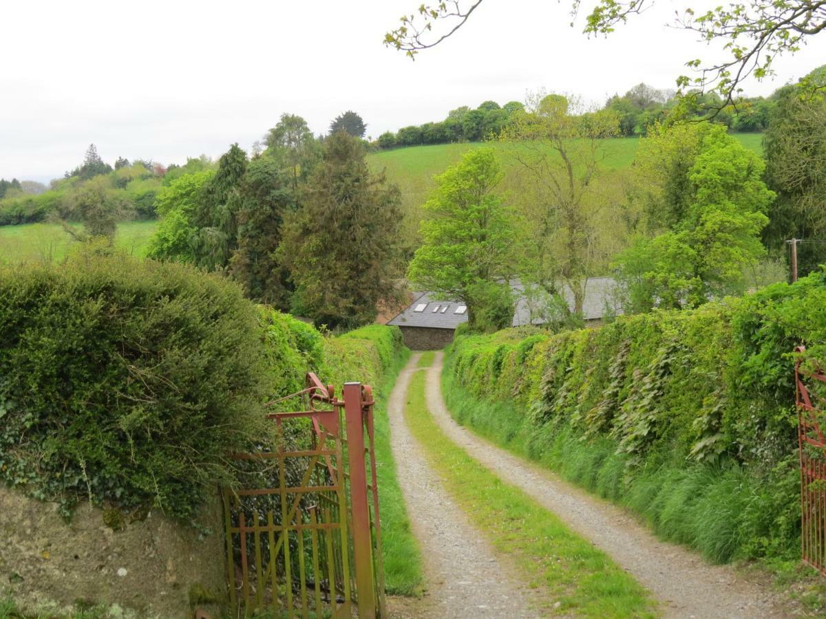 The Old House Vila Carrick-on-Suir Exterior foto