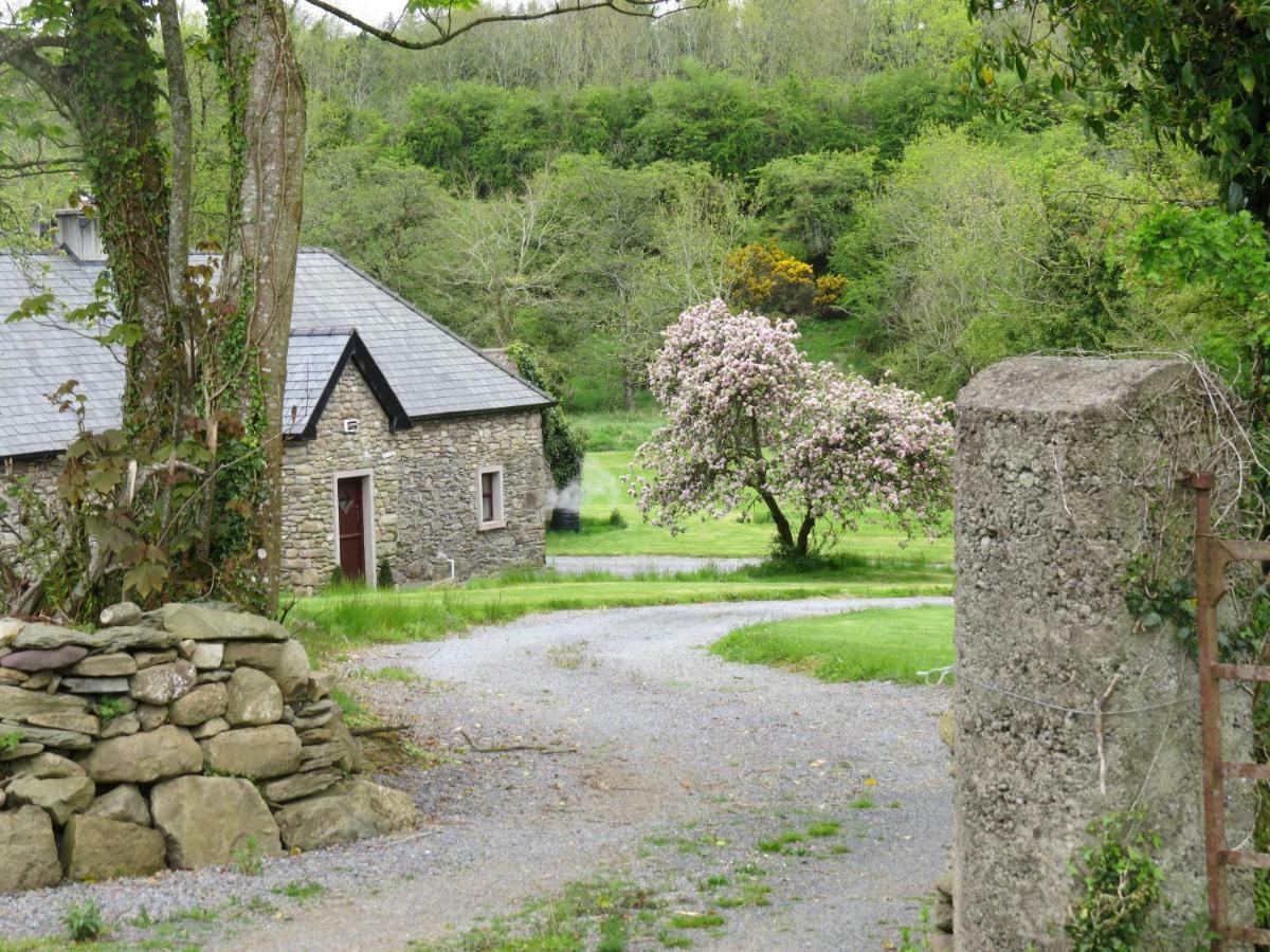 The Old House Vila Carrick-on-Suir Exterior foto